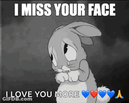 Black And White Bunny Says I Miss Your Face GIF