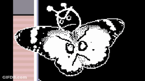 Black And White Butterfly With Face GIF
