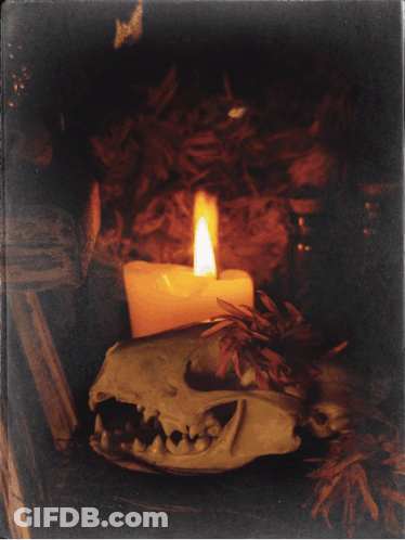 Black And White Candle And Skull GIF