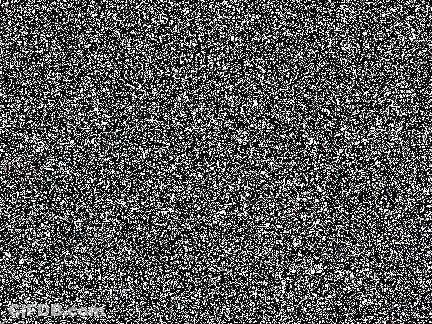Black And White Carpet With Small Dots GIF