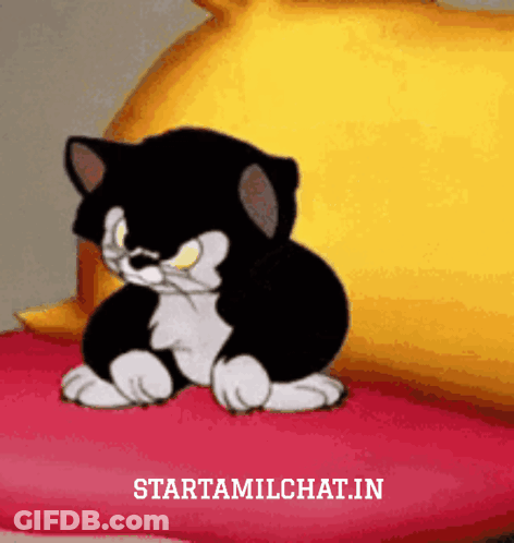 Black And White Cartoon Cat On Red Pillow Next To Yellow Startamilchat.in Pillow GIF