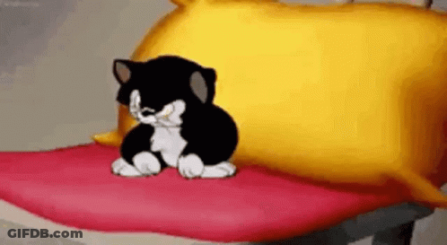 Black And White Cartoon Cat Sitting On Red And Yellow Pillows GIF