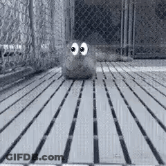 Black And White Cartoon Character With Big Eyes Walking On Wooden Floor GIF