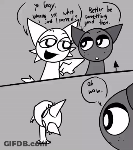 Black And White Cat And Bird Talking GIF