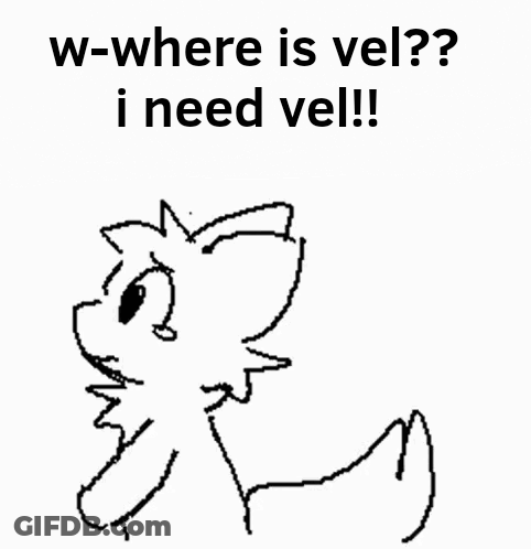 Black And White Cat Asking Where Is Vel GIF