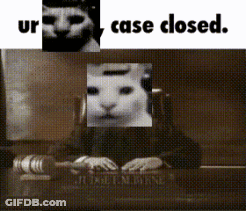 Black And White Cat Behind Judge Bench Saying Case Closed GIF