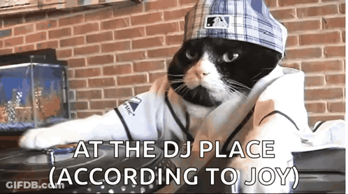 Black And White Cat DJ In Baseball Uniform GIF