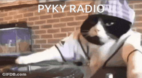 Black And White Cat DJ With Sunglasses And Hat Pyky Radio GIF