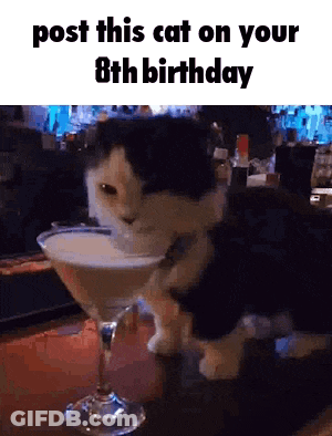 Black And White Cat Drinking From Martini Glass GIF