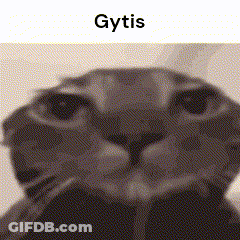 Black And White Cat Face With Gytis GIF