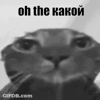 Black And White Cat Face With Oh The Kakoy GIF