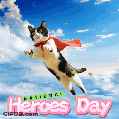 Black And White Cat Flying On National Heroes Day Flyer GIF