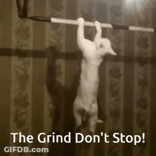 Black And White Cat Hanging On Bar GIF