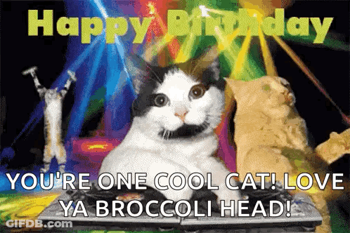Black And White Cat Happy Birthday Cool Cat Broccoli Head GIF