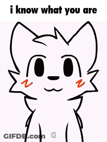 Black And White Cat I Know What You Are GIF