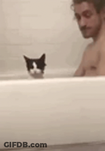 Black And White Cat In Bathtub GIF