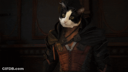 Black And White Cat In Brown Jacket And Black Cape GIF