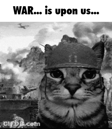 Black And White Cat In Helmet War Is Upon Us GIF