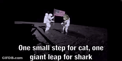 Black And White Cat In Space Suit One Small Step For Cat One Giant Leap For Shark GIF