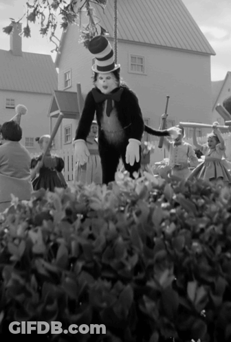 Black And White Cat In Top Hat GIF