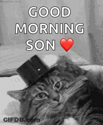 Black And White Cat In Top Hat Saying Good Morning Son GIF