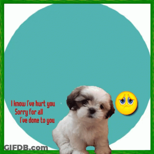 Black And White Cat Laying Beside Dog With Word Collective GIF