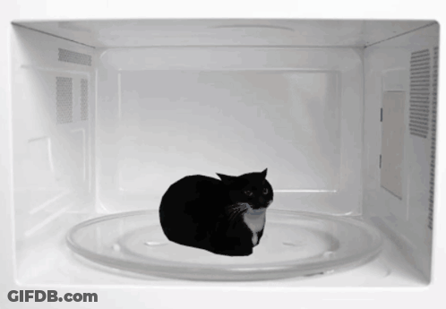 Black And White Cat Laying In Microwave Oven GIF