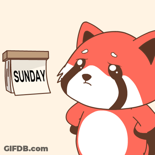 Black And White Cat Laying Next To Trash Can And Coffee GIF
