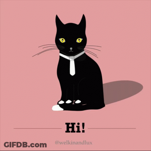 Black And White Cat Laying On Bed Saying Lazy Day GIF