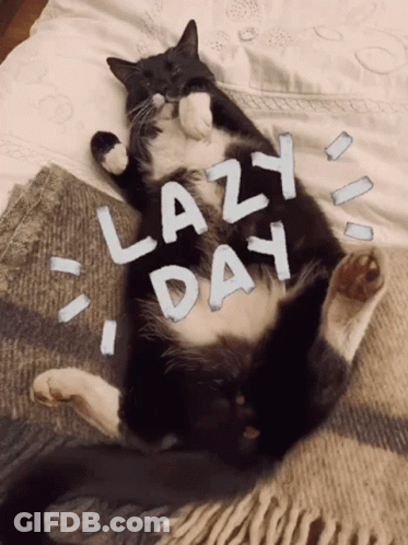 Black And White Cat Laying On Bed Saying Lazy Day GIF