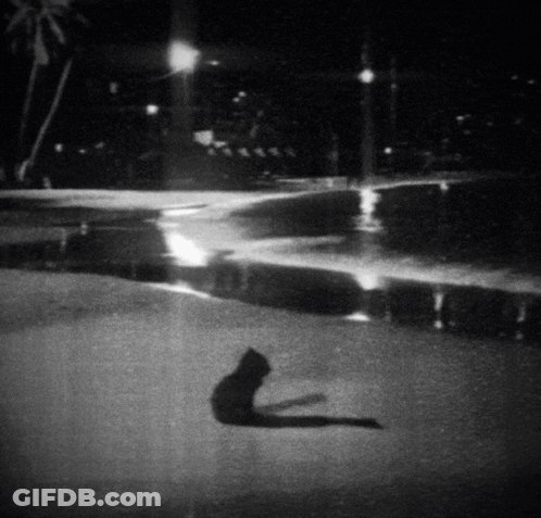 Black And White Cat Laying On Ground At Night GIF