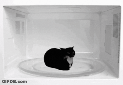 Black And White Cat Laying On Plate In Microwave GIF