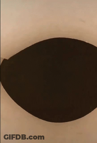 Black And White Cat Looking Out Of Hole GIF