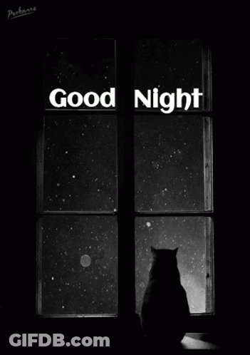 Black And White Cat Looking Out Window Saying Good Night GIF