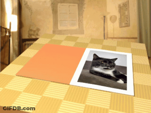 Black And White Cat Lying On Couch GIF