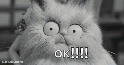 Black And White Cat Making Funny Face Saying Ok GIF