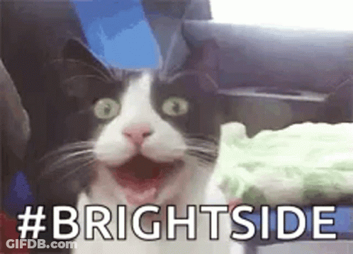 Black And White Cat Making Funny Face With # Brightside GIF