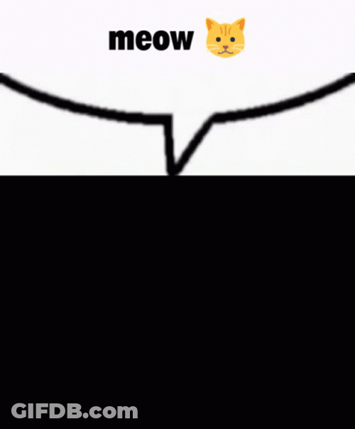 Black And White Cat Meow GIF