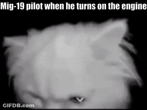 Black And White Cat Mig-19 Pilot Starts Engine GIF