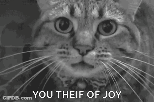 Black And White Cat Mouth Open You Theif Of Joy GIF