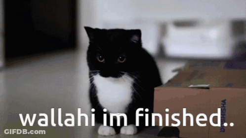 Black And White Cat Next To Cardboard Box Saying Wallahi Im Finished GIF