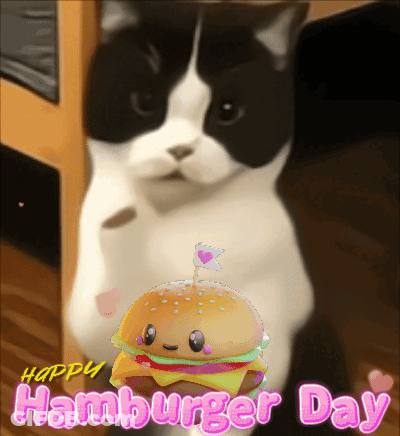 Black And White Cat Next To Happy Hamburger GIF