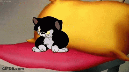 Black And White Cat On Bed Next To Pillow GIF