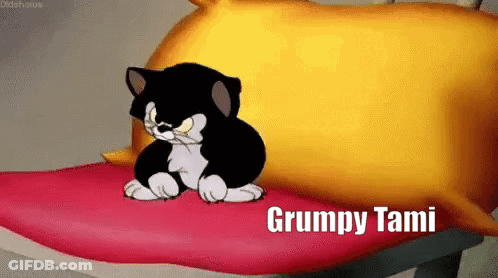 Black And White Cat On Red Pillow Saying Grumpy Tami GIF