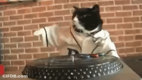 Black And White Cat Playing Record On Turntable GIF