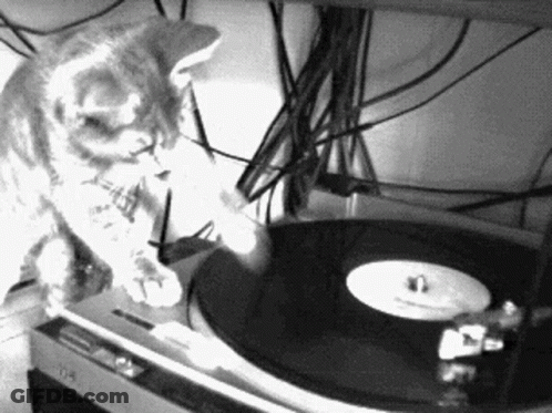 Black And White Cat Playing Record Player GIF