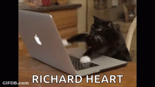 Black And White Cat Playing With Apple Laptop GIF