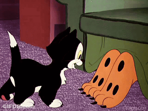 Black And White Cat Playing With Orange Paws GIF