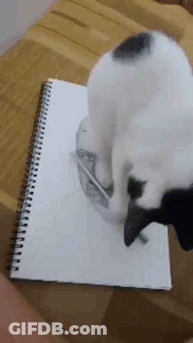 Black And White Cat Playing With Pencil On Notebook GIF