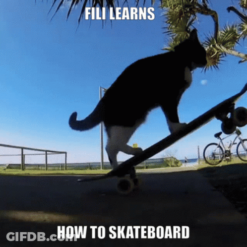 Black And White Cat Riding Skateboard Saying Fili Learns How To Skateboard GIF